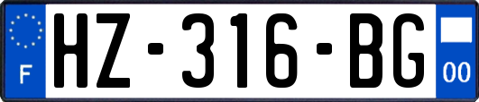 HZ-316-BG