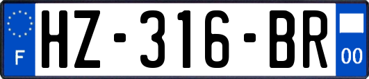 HZ-316-BR