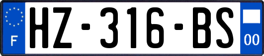 HZ-316-BS