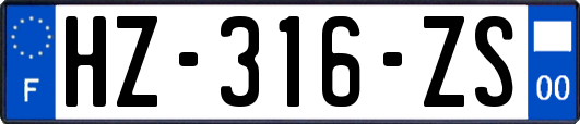 HZ-316-ZS