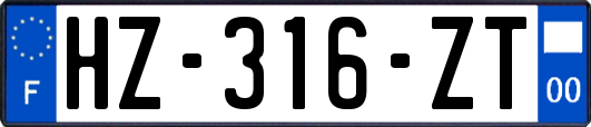 HZ-316-ZT