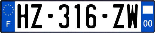 HZ-316-ZW
