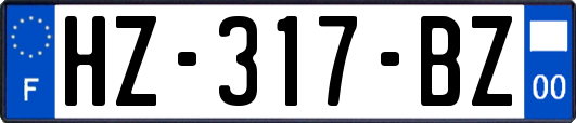 HZ-317-BZ