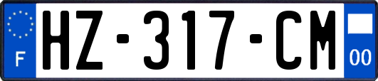 HZ-317-CM