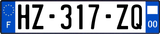 HZ-317-ZQ
