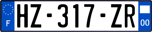 HZ-317-ZR