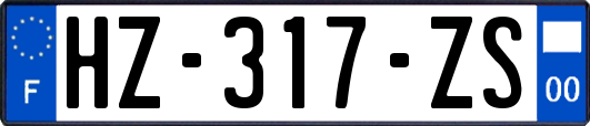 HZ-317-ZS