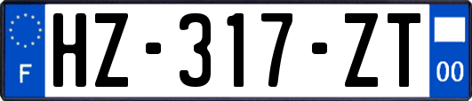 HZ-317-ZT