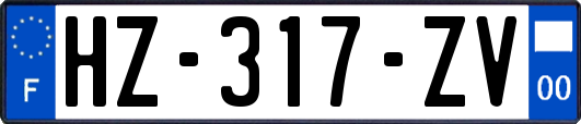 HZ-317-ZV