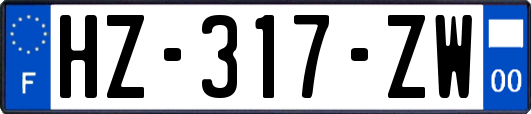 HZ-317-ZW
