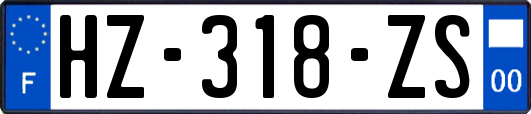HZ-318-ZS