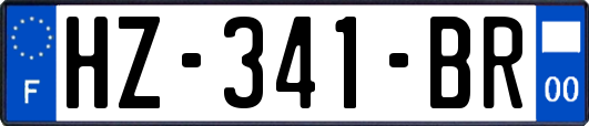 HZ-341-BR