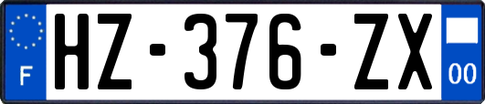 HZ-376-ZX