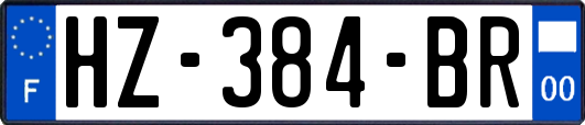 HZ-384-BR