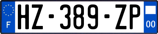 HZ-389-ZP