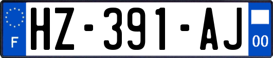 HZ-391-AJ