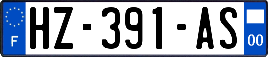HZ-391-AS