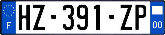 HZ-391-ZP