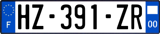 HZ-391-ZR