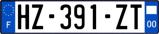 HZ-391-ZT