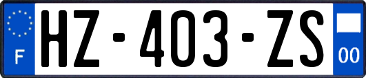 HZ-403-ZS