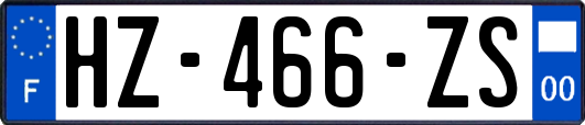 HZ-466-ZS