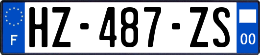 HZ-487-ZS