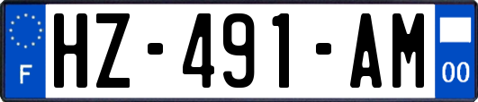 HZ-491-AM