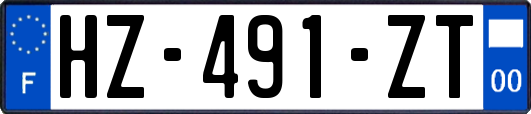HZ-491-ZT
