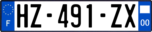HZ-491-ZX