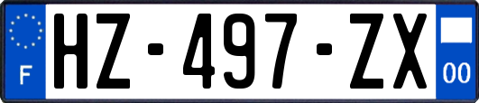 HZ-497-ZX