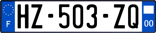 HZ-503-ZQ