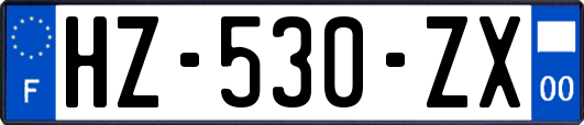 HZ-530-ZX