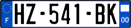 HZ-541-BK