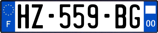 HZ-559-BG
