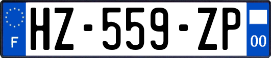 HZ-559-ZP