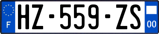 HZ-559-ZS