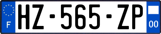 HZ-565-ZP