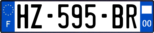HZ-595-BR