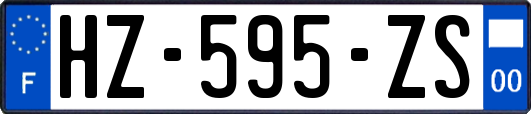 HZ-595-ZS