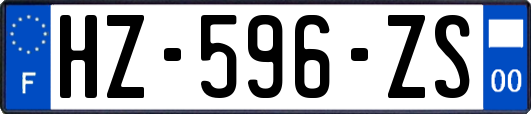 HZ-596-ZS