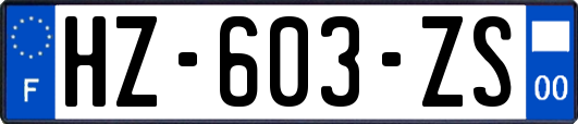 HZ-603-ZS
