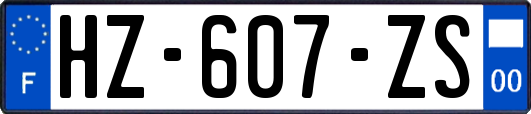 HZ-607-ZS