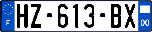 HZ-613-BX