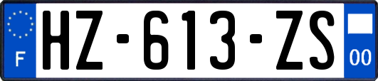 HZ-613-ZS