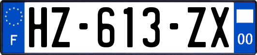 HZ-613-ZX