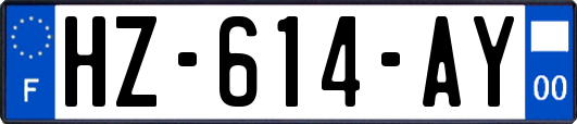 HZ-614-AY