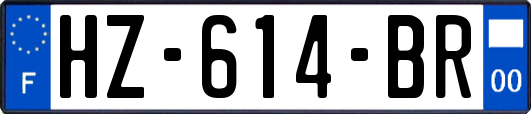 HZ-614-BR