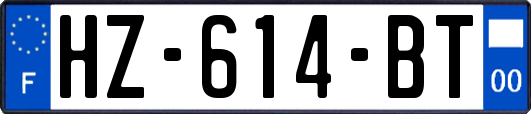 HZ-614-BT