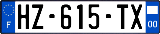 HZ-615-TX